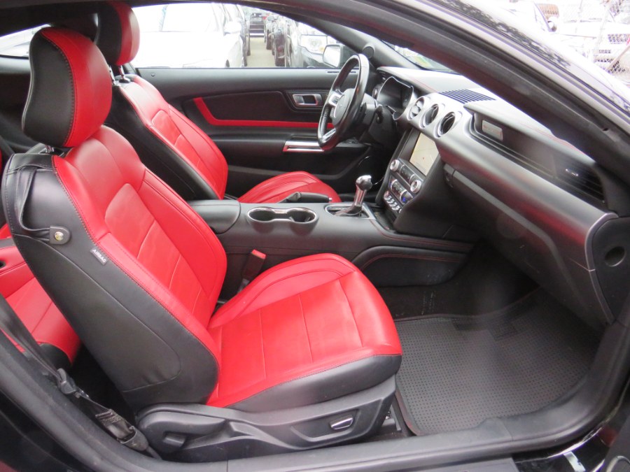 2019 Ford Mustang EcoBoost Premium - Photo 12