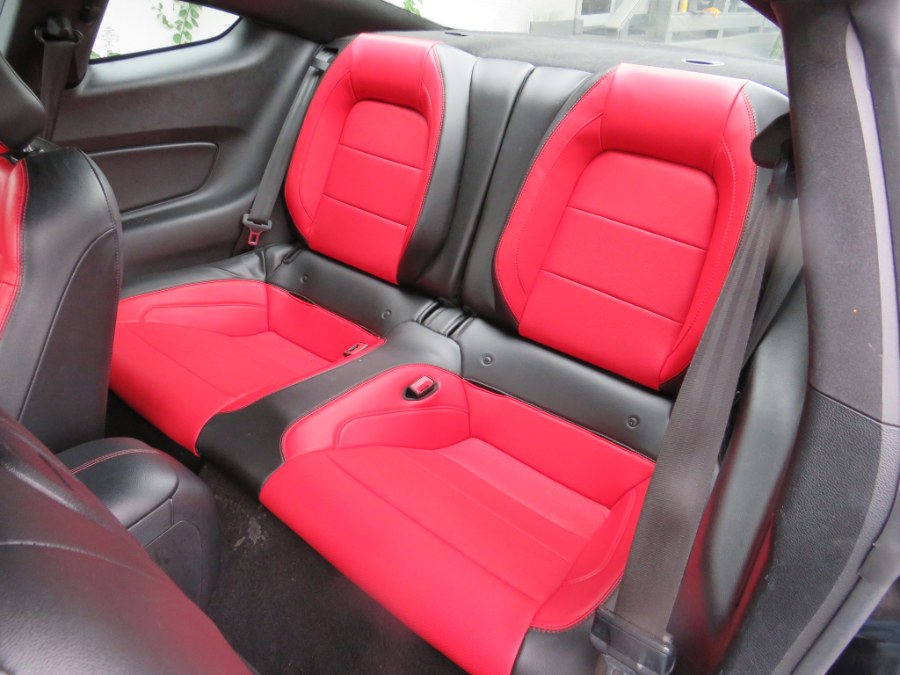 2019 Ford Mustang EcoBoost Premium - Photo 11
