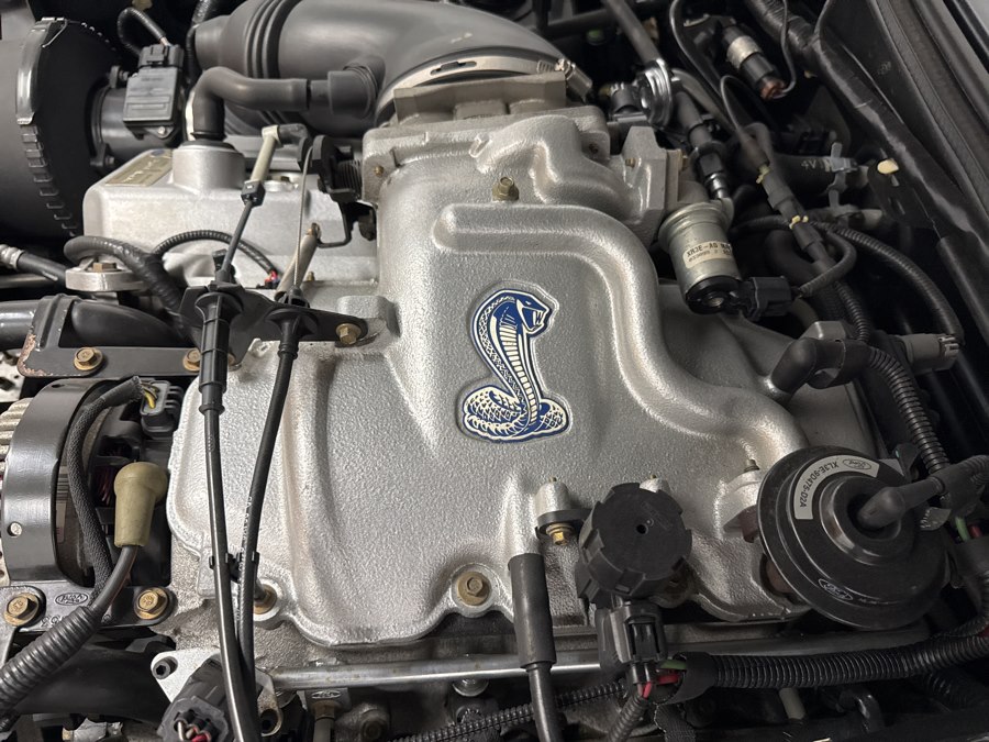 1999 Ford Mustang COBRA SVT - Photo 30
