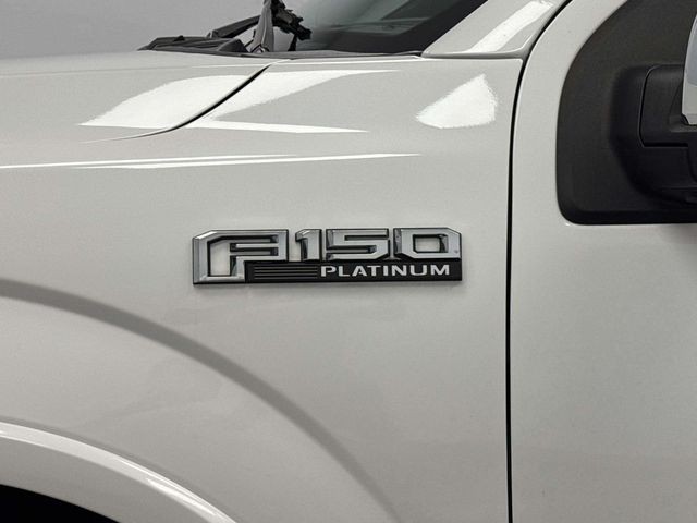 2020 Ford F-150 Platinum - Photo 25