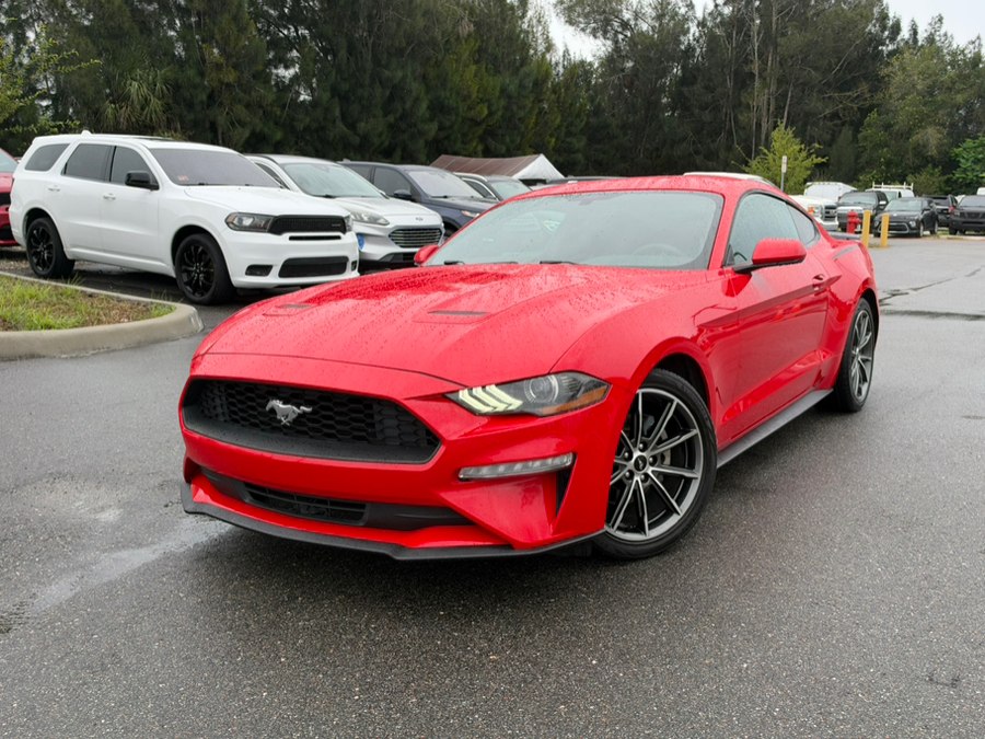 Used 2019 Ford Mustang in Orlando, Florida | Mickeys Driver Mart. Orlando, Florida