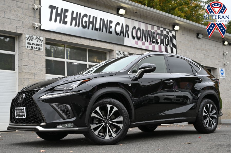 2019 Lexus NX 300 F SPORT